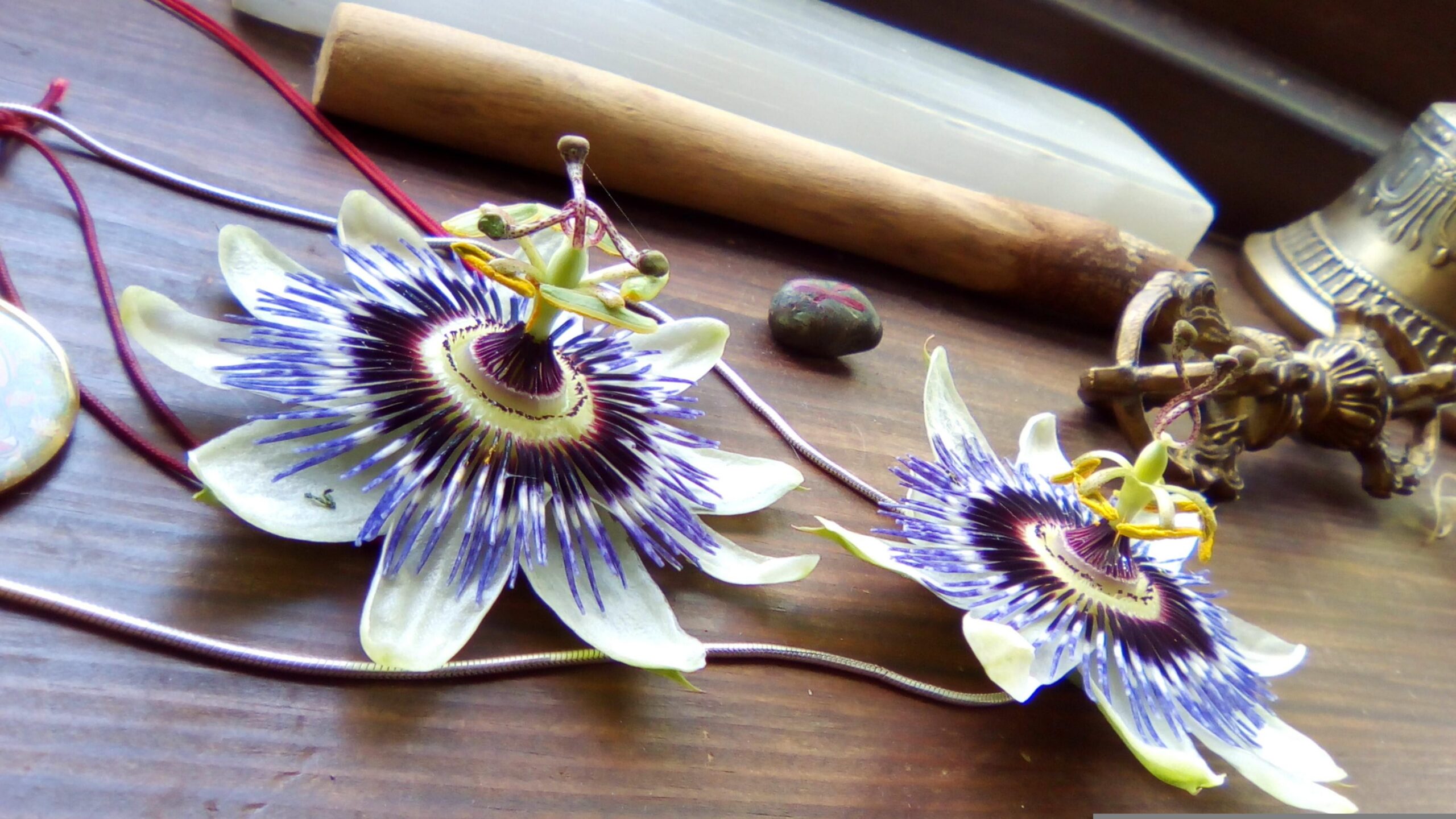 Welcome to Redbrook Angelic Reiki